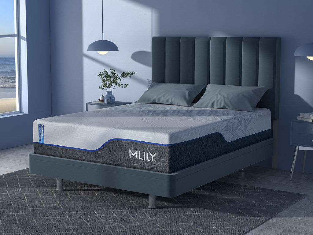 MLILY ChiroPro Hybrid Mattress | Chiropractor-Approved Comfort