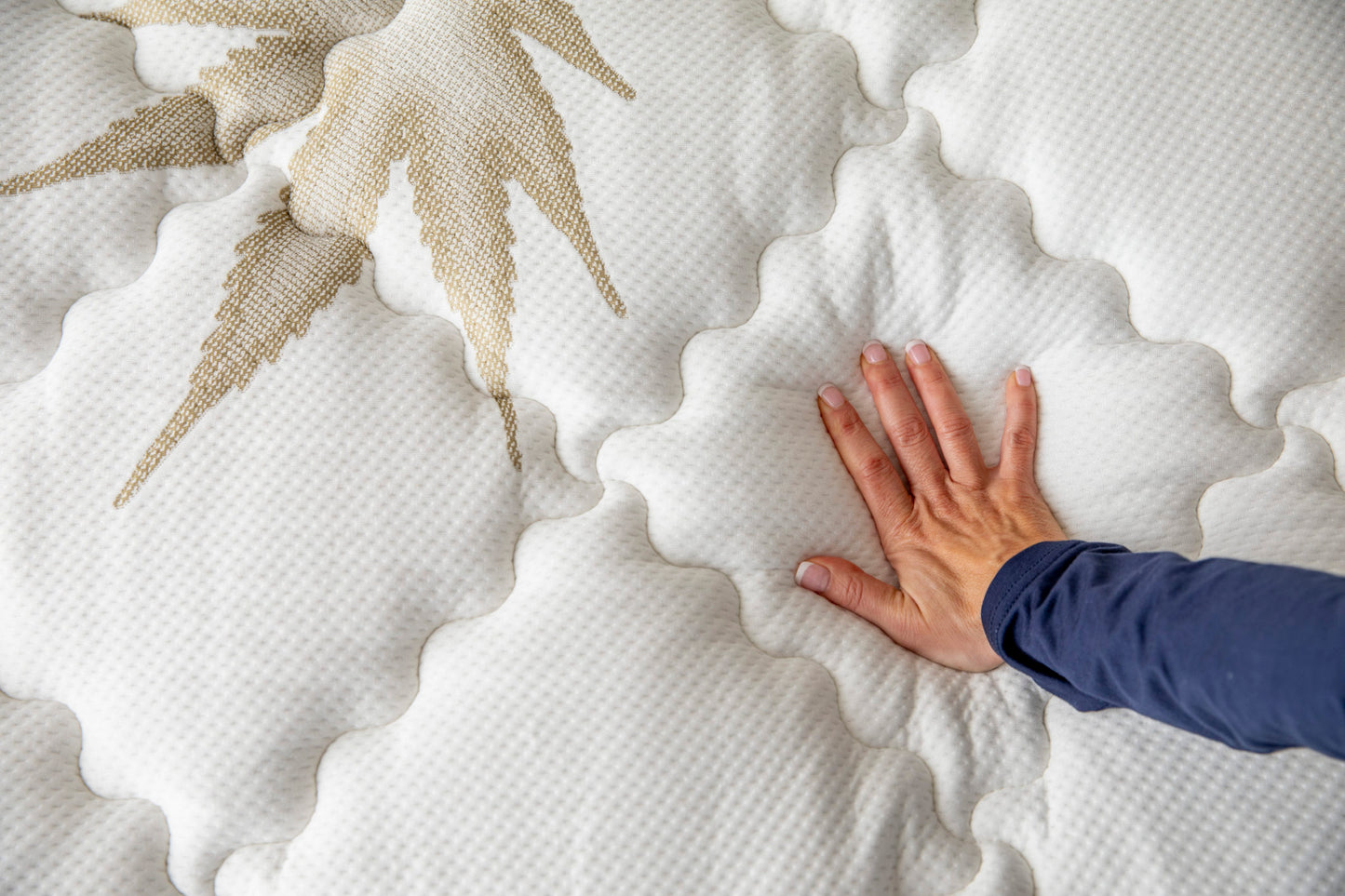 Genesis By Mlily Mattress
