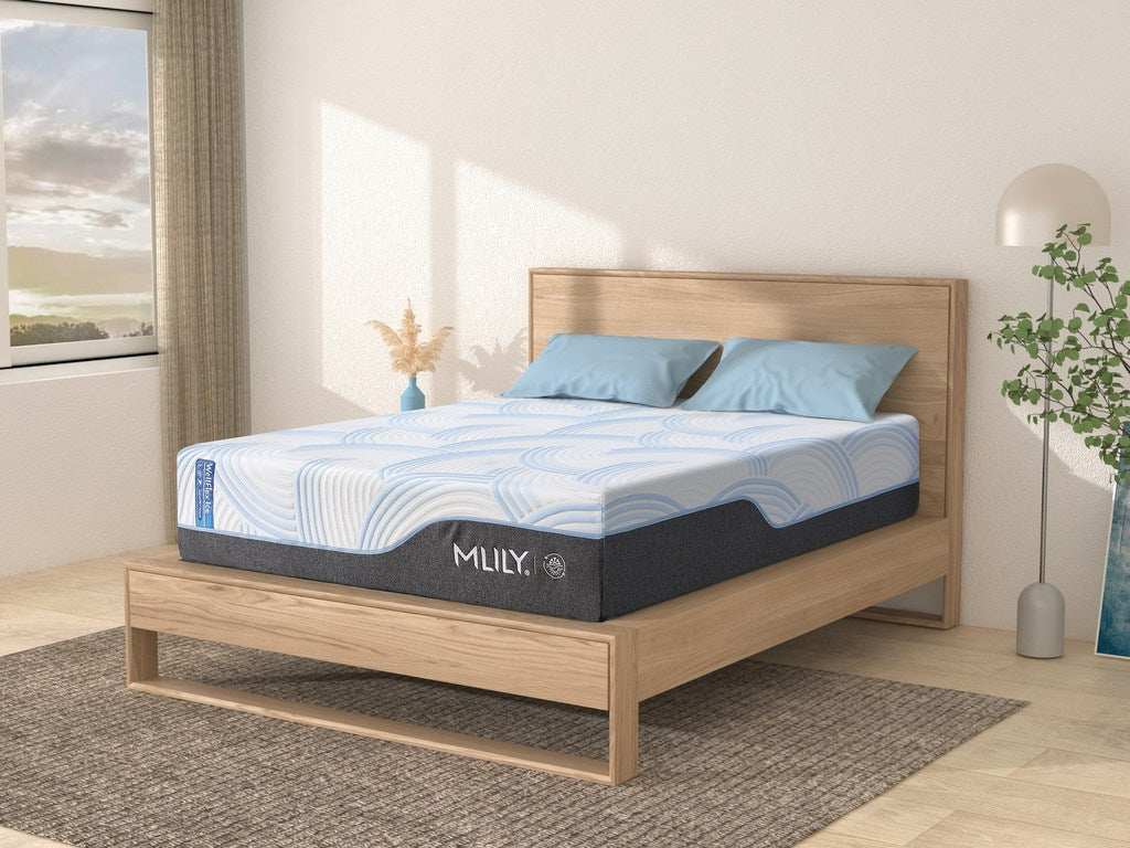 WellFlex ICE 1.0 Firmer