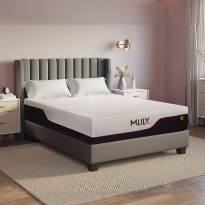 MLILY Dream