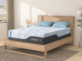 WellFlex ICE Memory Foam Mattress