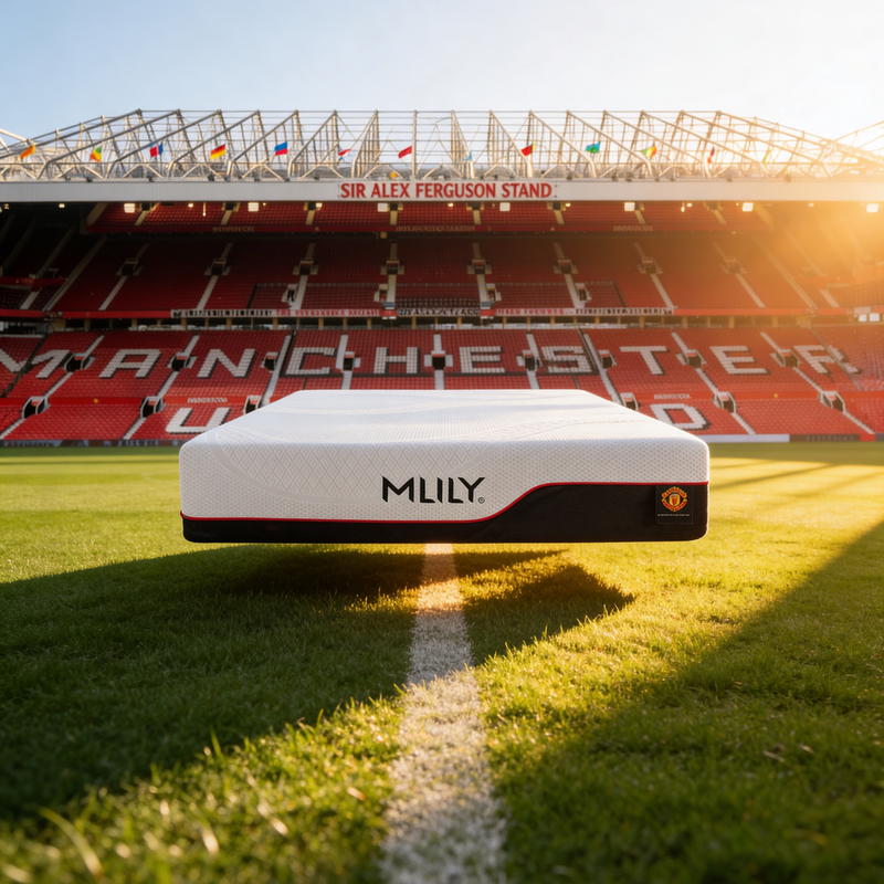 Dream Mattress