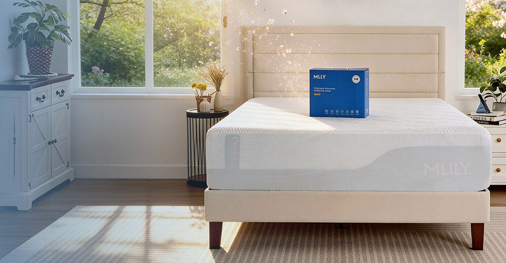 A white mattress on a beige bed frame in a bright, modern bedroom, with a blue MLILY product box placed on top of the mattress. The room has large windows with green foliage outside, a white dresser, and a striped rug.