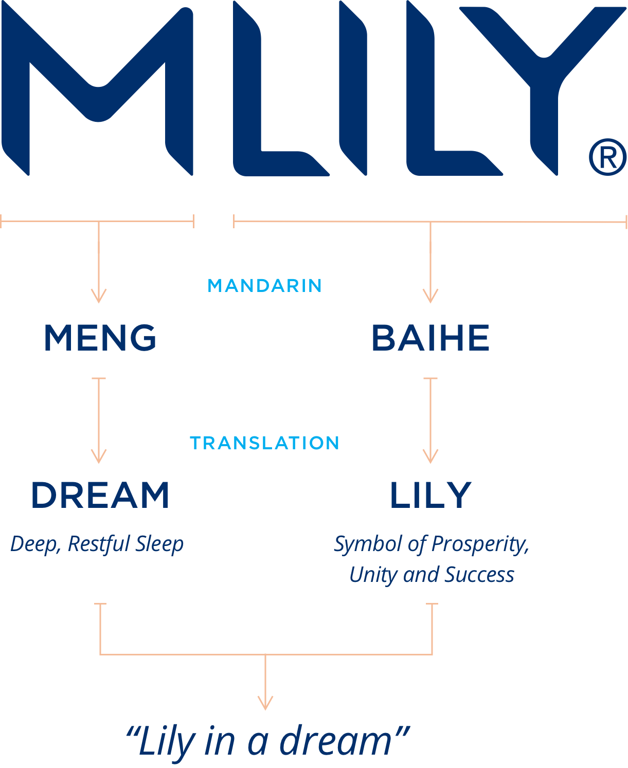 A breakdown of the MLILY logo meaning